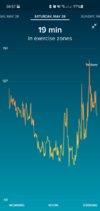 Screenshot_20210609-045706_Fitbit.png