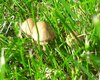 20190601_105822.jpg