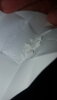 20200726_010947.jpg