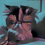 majortom