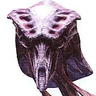Species8472