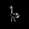 Spacey Ostrich