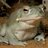DoeMaarDieMaar