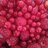 muisjes