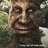 wisemysticaltree